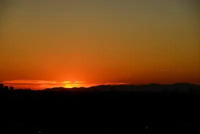 DSC_1491 (Large).JPG